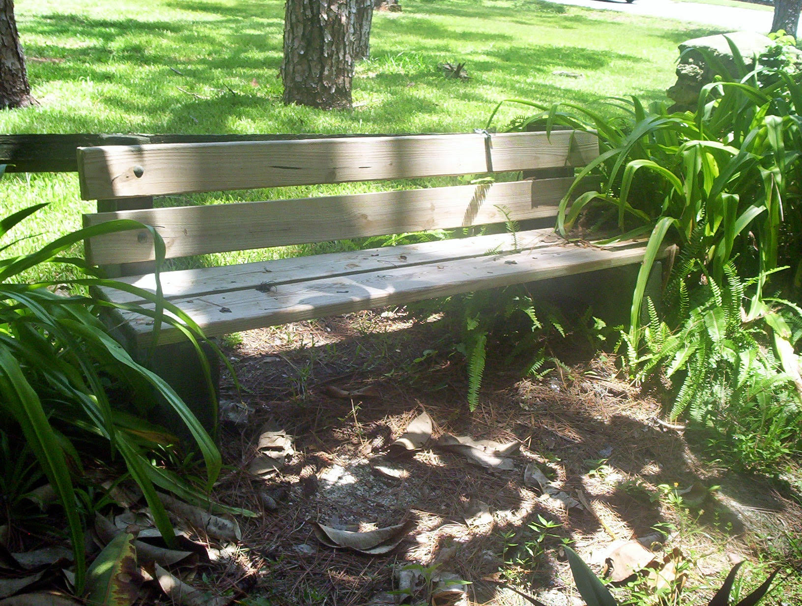 CoronaSabbath5April 19